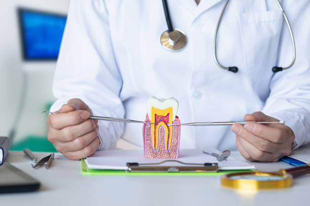 Best Urgent Dental Care for Toothache in Telford, PA